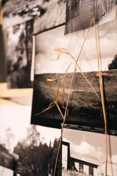 Photo: Viktorija Maško