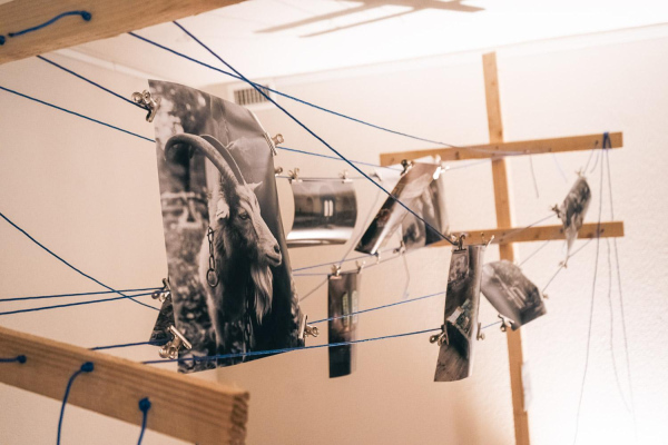 Photo: Viktorija Maško