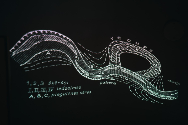 Photo: Viktorija Maško